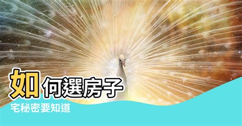 坐西南向東北風水|【風水學必備】坐東北朝西南是什麼宅？教你用風水原則打造住宅。